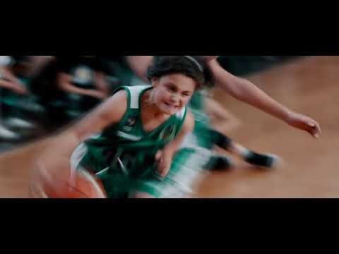 Baschet Lucky Dragons