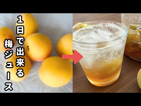 即できる「梅ジュース」爽やかの甘さがたまらない！冷凍梅で簡単！はちみつで作る絶品「梅シロップ」