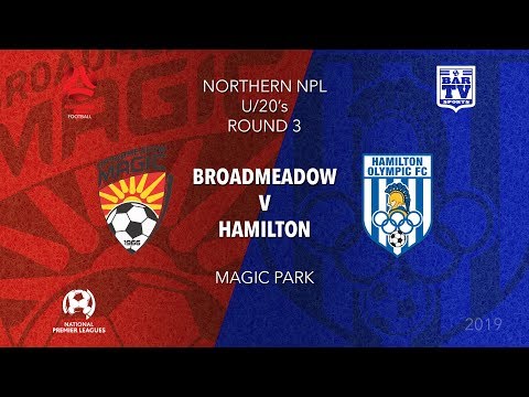 2019 NPL Northern NSW u20s and 1st Grade - Round 3 - Broadmeadow v Hamilton