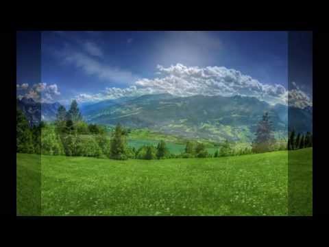 Sa stie tot pamantul