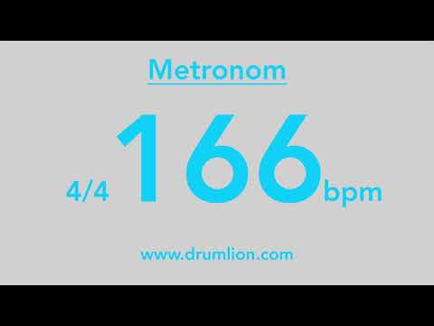166 bpm - 4/4 | DRUMLION
