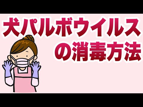 パルボウイルス: 感染性ウイルス疾患の認識と治療