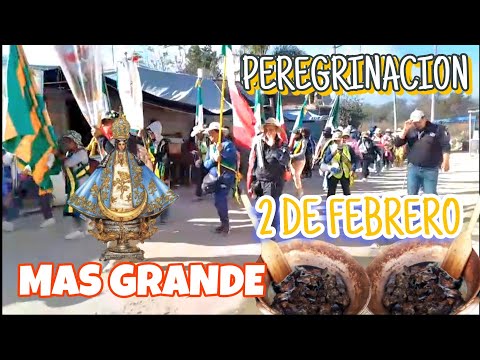 Día Dé La Candelaria 2 DE FEBRERO Peregrinación Más Grande a San Juan de los lagos..trujillos 2026🇲🇽