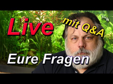 LIVE - mit Q&A #626 - Frag den Aquarium-Profi