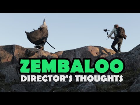 Making of Zembaloo (Music Video) - Director's Thoughts - Sampsa Kares
