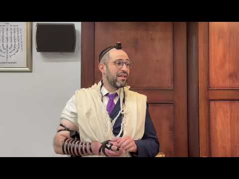 Halachot of trapping insects on Shabbat - Rav Meir Elbaz 5783