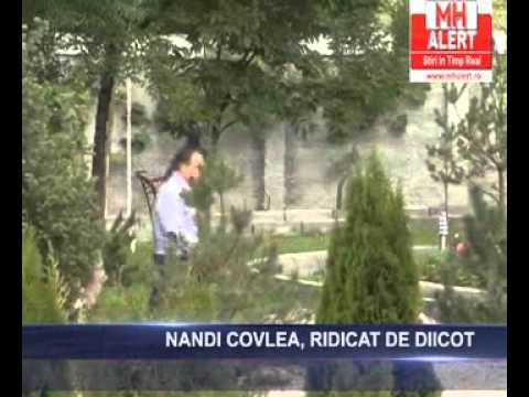 nandi covlea ridicat de diicot