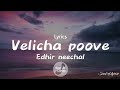 Velicha Poove Lyrics Edhir Neechal Sivakarthikeyan
