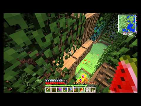 Muckin' About S3E15 P1 - A morning with bees and spiders