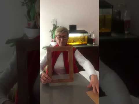 Una Rondine in casa vostra