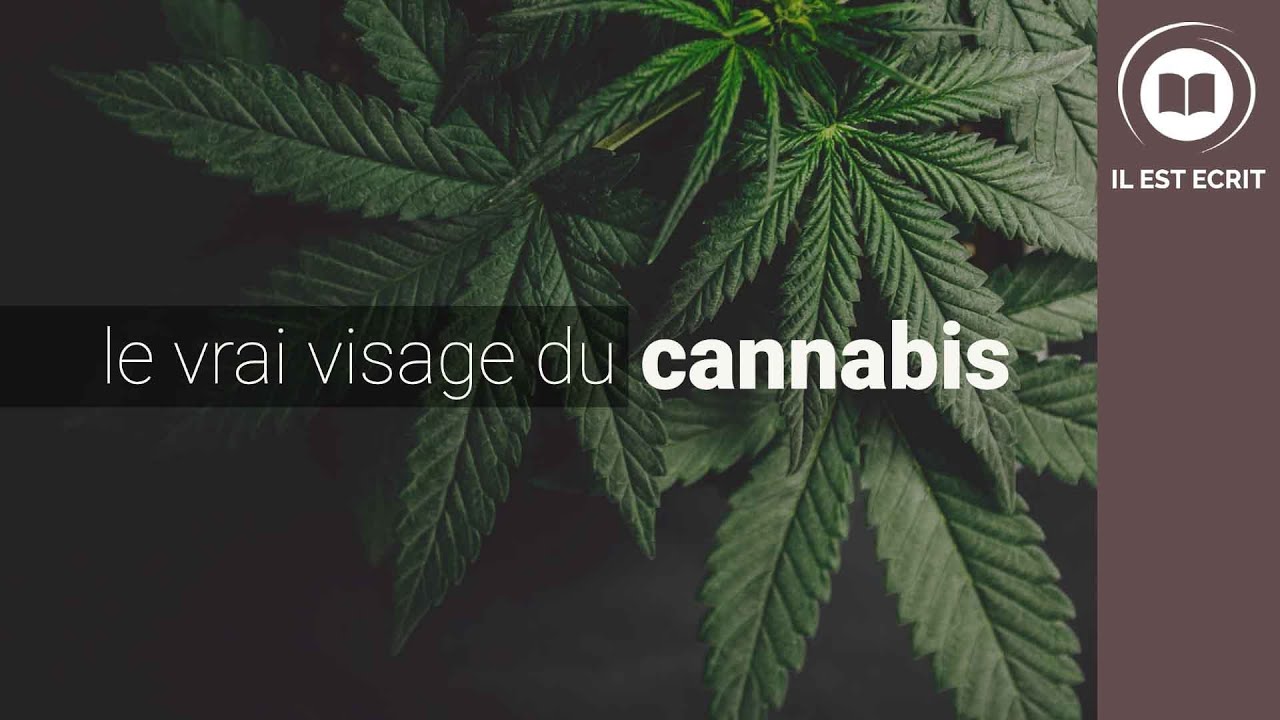 Le vrai visage du cannabis