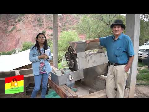 Bodegas y viñedos de Victor Touchard Luribay Porvenir La Paz Bolivia