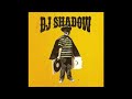 DJ Shadow - What Have I Done