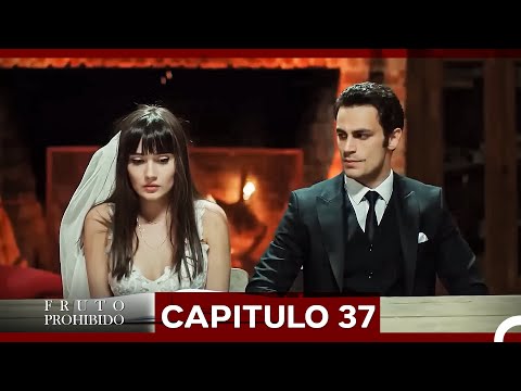 Fruto Prohibido Capitulo 37 (Doblado en Español)(La Versión Larga) HD