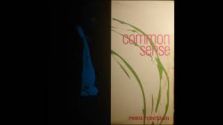 Common Sense – Orange Pineapple Juice