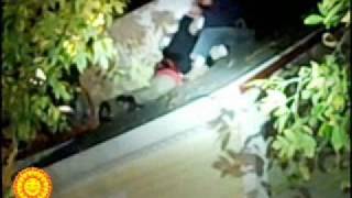 Police find shotgun, drugs, and man sleeping on roof