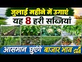 Which Vegetables To Plant In July 12 Selected Crops For Huge Profits In 35 40 Days July