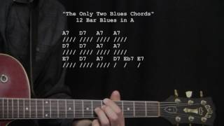 "The Only Two Blues Chords!!" : 365 Riffs For Beginning Guitar !!