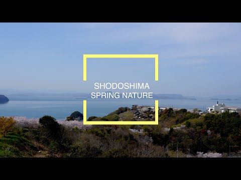 【小豆島町】春の自然 SPRING NATURE