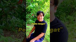 Download lagu Pedas Sangat Dalam Loghat/Dielek Kelantan #dikelate #kelantan #kelate mp3 Download lagu Pedas Sangat Dalam Loghat/Dielek Kelantan #dikelate #kelantan #kelate mp3