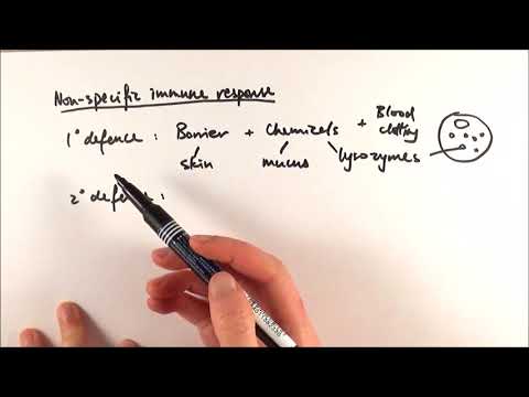 AS Biology - Non-specific primary defences + Inflammation (OCR A Chapter 12.5)