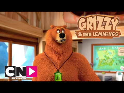 GRIZZY VE LEMMINGLER I Lemming Hava Yolları I TAM BÖLÜM I Cartoon Network Türkiye