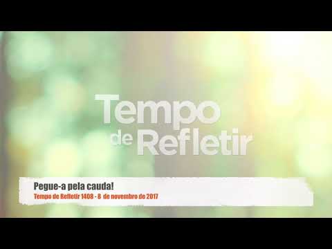 Tempo de Refletir 1408 - Pegue-a pela cauda!