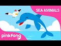 Click Click Dolphin Sea Animals Song Dolphin Song Pinkfong Songs For Children