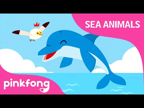 Click Click Dolphin | Sea Animals Song | Dolphin Song | Pinkfong Songs for Children