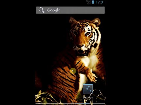 Animal Connect Wallpaper Video