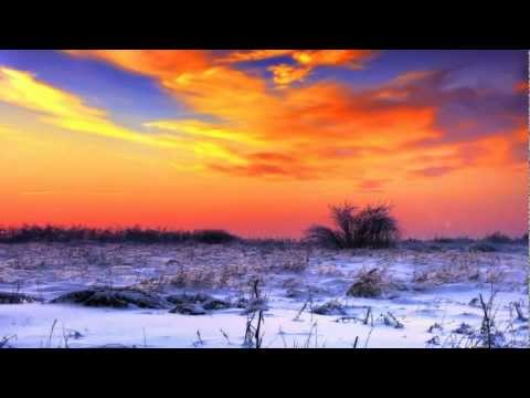 Marian Closca pres. Skyscape - Freezing Amazonia (Original Mix) [Pulsar]