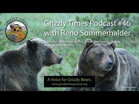 Grizzly Times Podcast 46 - Reno Sommerhalder