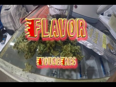 FLAVOR - YoungRes (jajenujasquad cpz creed) x Nodabeats - Shot by Fermín