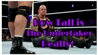 How Tall is Undertaker Real Height of Mark Calaway (The Undertaker)!