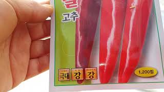 2020년 고추육묘준비하기!하우스완성!!