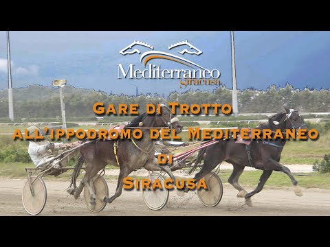 Trotto Corse del 28 Dicembre 2020