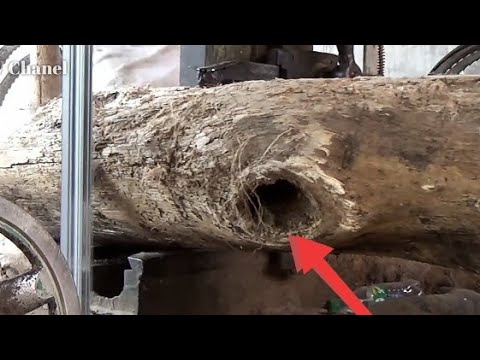 Nothing Was Wasted!! Dry Wood Saw At The Sawmill