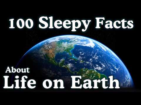 The Most Relaxing Facts About Life on Earth to Fall Asleep To