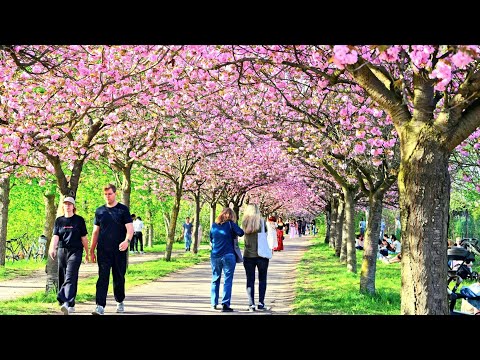 Beautiful Spring in Berlin, Germany's Capital City