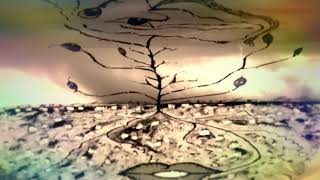 Life on Mars 2020 (Emilie Simon / David Bowie) - Animation/peinture mouvante