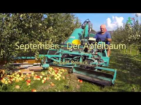 September - Der Apfelbaum. Robert Reinick