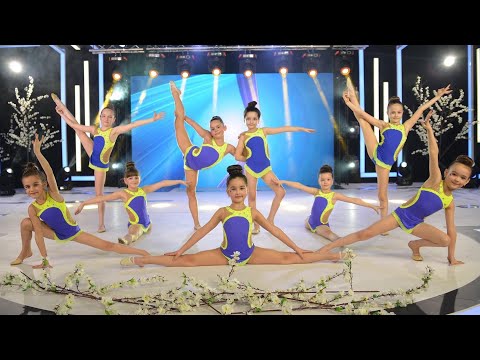 AlcorGym - Blood, Sweat and Tears