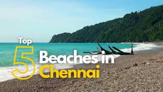 Top 5 beaches to visit in Chennai  Travolook