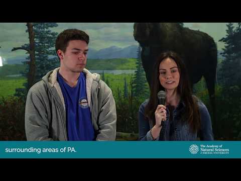 Why is it Important to Eat Locally Grown Food?