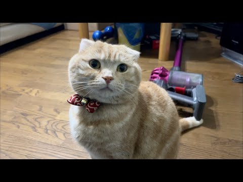 おろちんゆー実家に帰省【旅ちんゆーPart2】