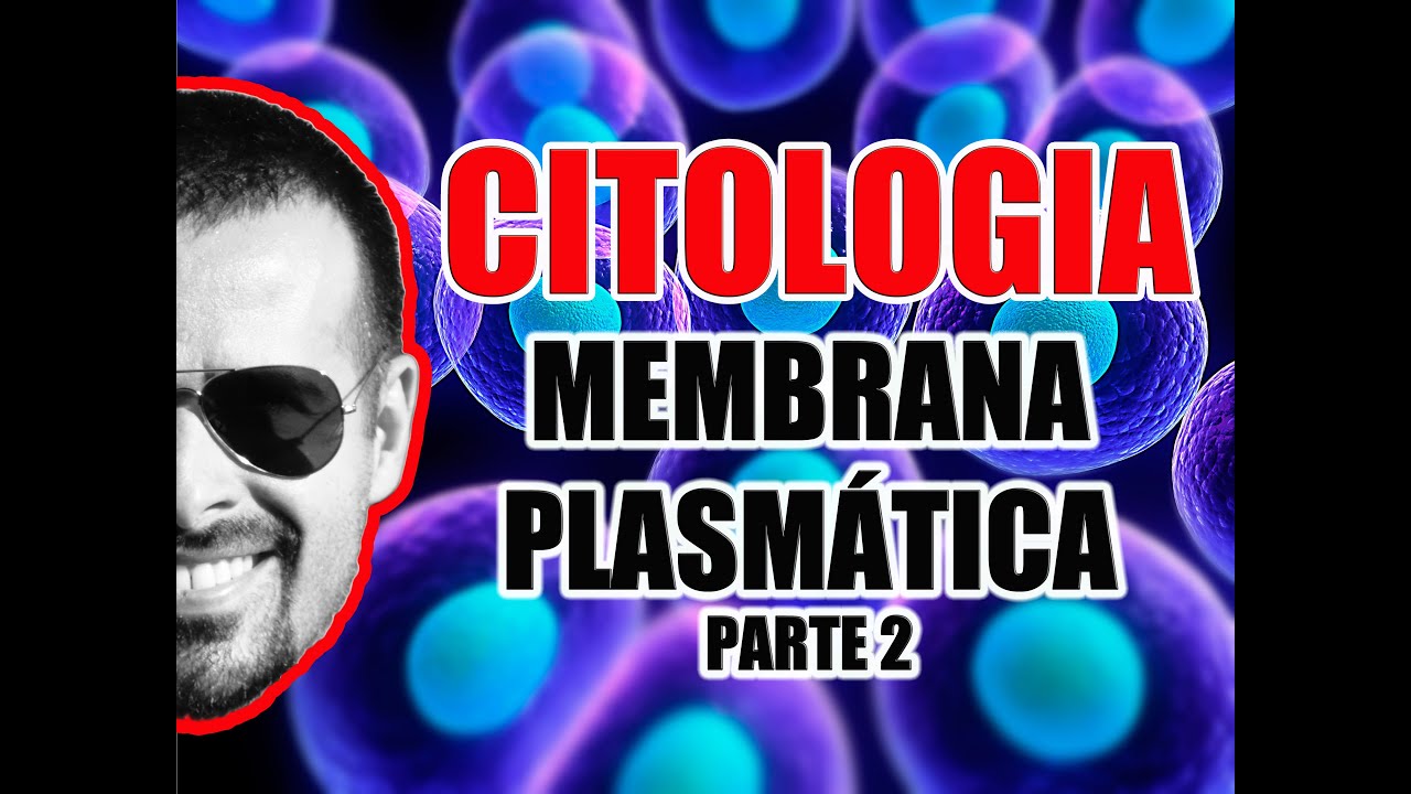 Membrana Plasmática - Propriedades e Estrutura da Membrana Celular - Citologia - VideoAula 014