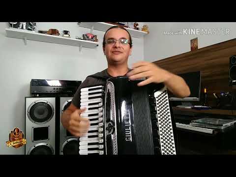 #sanfona #acordeon #baixos.                           Baixos da sanfona