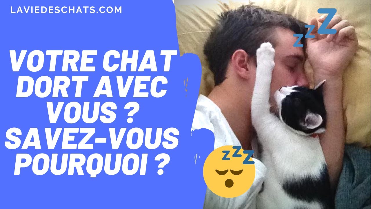 DOES YOUR CAT SLEEP WITH YOU AT NIGHT? 😴