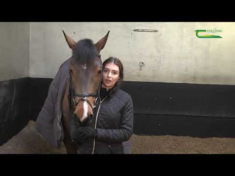 Ellie Ryan discusses studying equine at Kildalton College