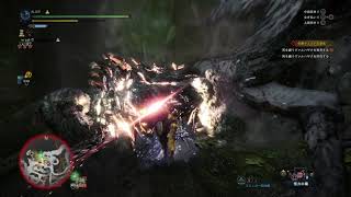 【MHW:IB】MR20(初期位置)初見で死を纏うヴァルハザク、上位武具の限界かも【モンスターハンター/アイスボーン】